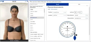 NR305 Week 6 iHuman Case: Anna Sink