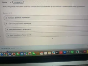 NR565 Week 4: Midterm Exam