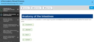 NR507 Week 5: Alterations in the Gastrointestinal System