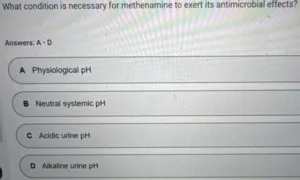 NR566 Week 4: Midterm Exam