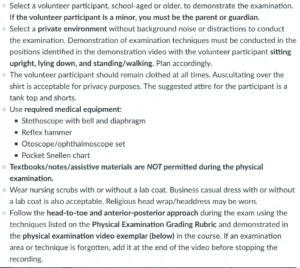 NR509 Week 7 Assignment: Physical Examination Video Evaluation