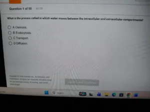 HESI A2 - Vocabulary