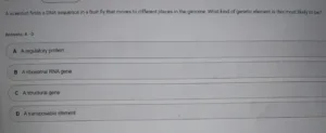 BIOS241 Week 5 Exam 2