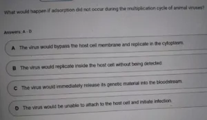 BIOS241 Week 5 Exam 2