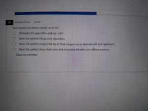 NR511 FNP Pre-Clinical Diagnostic Exam