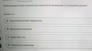 NR576 Week 4: Midterm Exam
