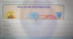 BIOS256 Week 5: Exam 2