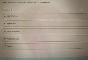 BIOS256 Week 8: Exam 3