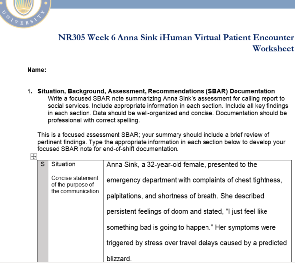 NR305 Week 6 Assignment: Anna Sink iHuman Virtual Patient Encounter Case