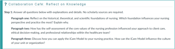 NR451 Week 1 Collaboration Café: Foundations of Nursing