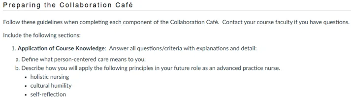 NR581NP Week 4 Collaboration Café: Person-Centered Care and Cultural Humility
