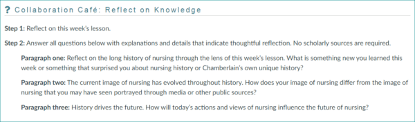 NR393 Week 1 Collaboration Café: Historical Influences on Nursing Today