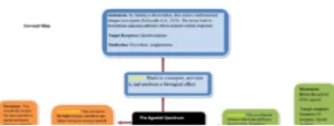 Psychopharmacology Scavenger Hunt Concept Map