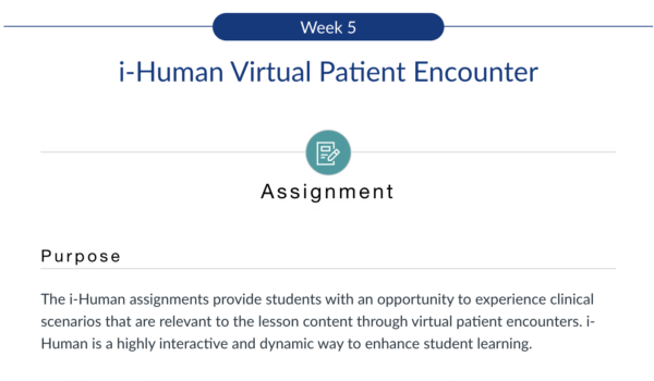 NR509 Week 5: i-Human Virtual Patient Encounter - Image 2